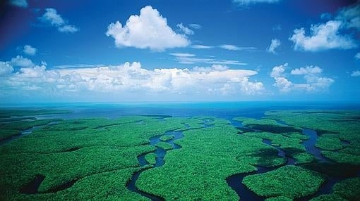 Everglades, Florida (Estados Unidos)