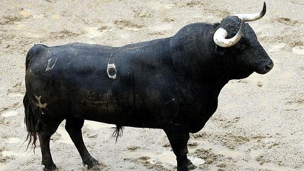 Primer toro de la tarde, Pocaprisa de nombre