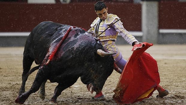 Ureña echa la pata «p&#039;alante» y, pese a la cornada, toreará este domingo en San Isidro