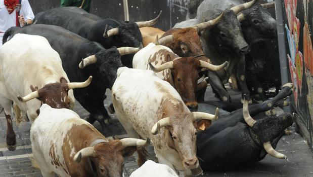 Encierro 14 de julio: montón de toros y mozos en la entrada de la plaza de toros