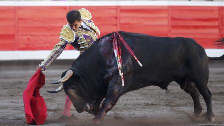 Joselito Adame, en un derechazo