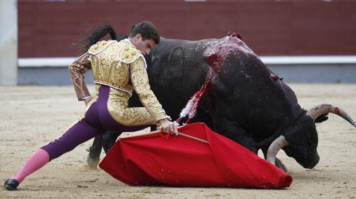 Pinar se dobla con el toro