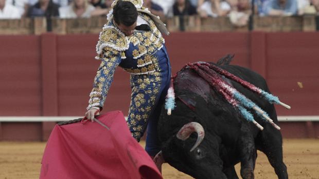 José María Manzanares, en un ajustado derechazo al estupendo quinto toro de Olga Jiménez