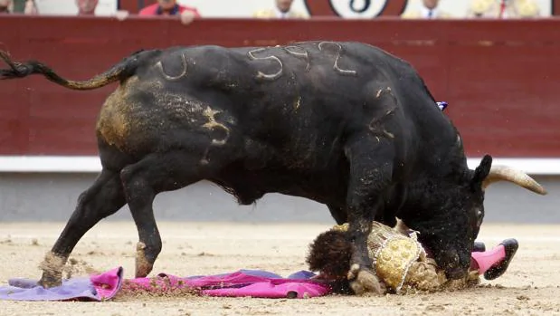 Fernando Robleño, a merced del toro de Palha tras ser cogido a portagayola