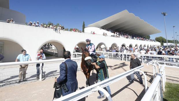 Obras del Hipódromo de la Zarzuela en 1941, antes de su inauguración