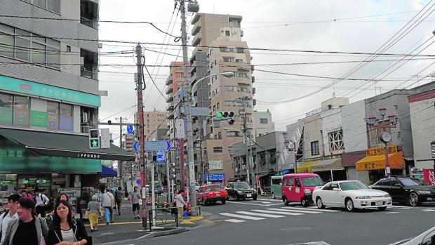 La espesa hiedra «kuzu» trepando sobre los árboles de un cementerio en Tokio en una fotografía de Belda