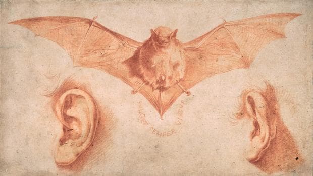 «Un murciélago y dos orejas», de Ribera