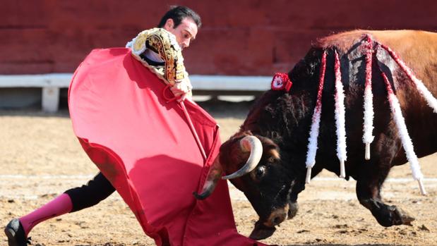 Enrique Ponce se dobla con el toro