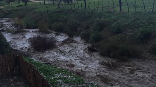 Arroyo en la finca gaditana