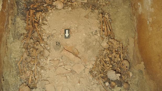 Restos mortales de doce esqueletos hallados en la cripta