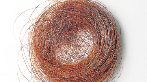 Mechón de pelo que Emily Dickinson envió a su amiga Emily Fowler Ford