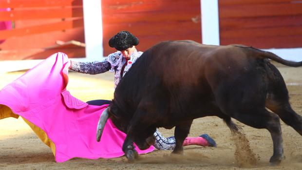 El Juli, en Cáceres