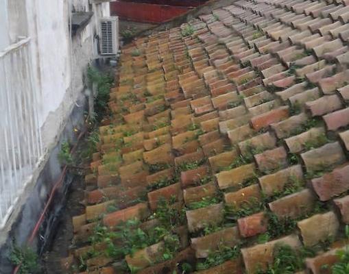 La cubierta plagada de maleza