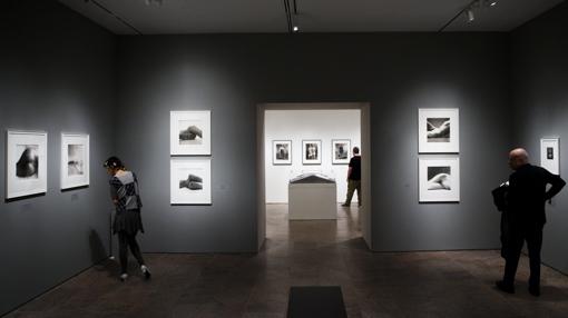 La exposición podrá verse hasta el próximo 16 de junio