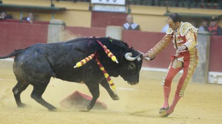 Alberto Álvarez se llevó un arreón del toro