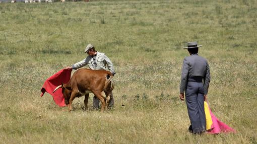 Toreo de Pepe Luis ante la mirada de Eduardo Dávila