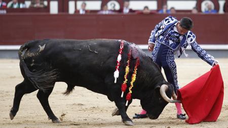 Diego Urdiales, en un buen natural