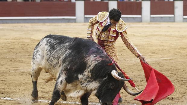 Morenito dibujó muletazos con mucho gusto