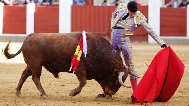 Derechazo de Alejandro Talavante al toro que desorejó