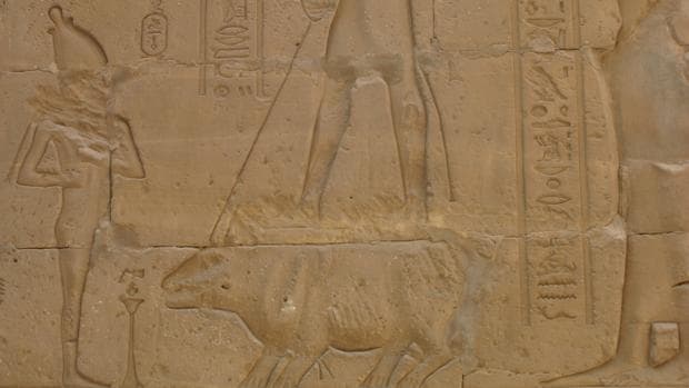 Un relieve animal egipcio