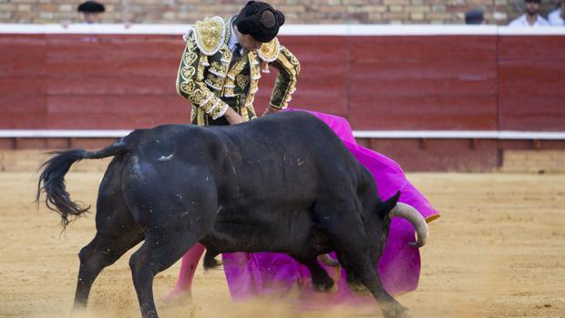 Cumbre de Perera con torrealtas de puerta grande en las Colombinas