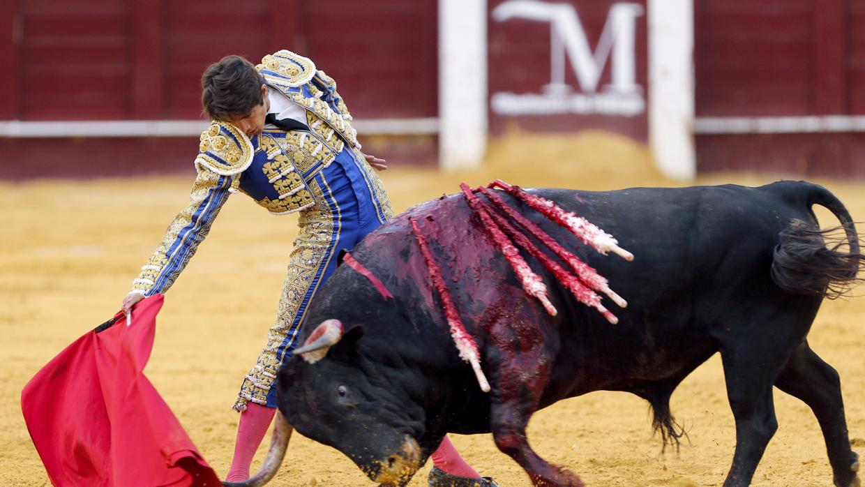 Triunfo de Castella y oreja para Talavante en Málaga