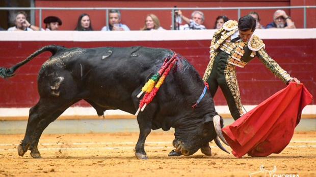 Infumable saldo de Zalduendo en Logroño