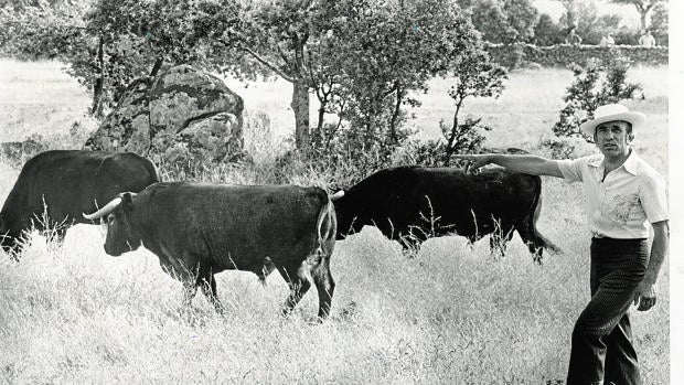 El toreo, en palabras de Victorino Martín