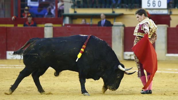 Cumbre de un deslumbrante Ginés Marín en la Feria del Pilar