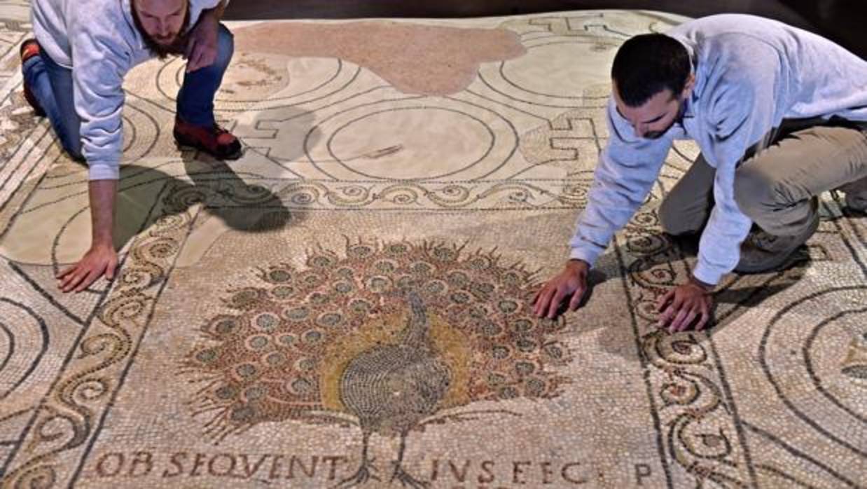 Dos restauradores revisan el suelo del mosaico, que muestra la imagen de un pavo real