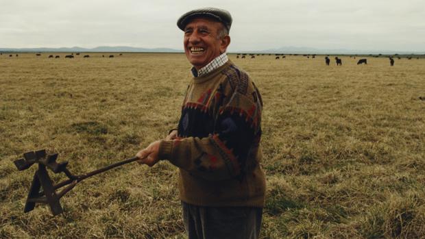 Victorino Martín Andrés, Pluma de Oro de los críticos aragoneses