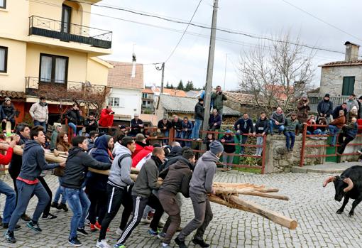 Un grupo de jóvenes sujetan el forcón