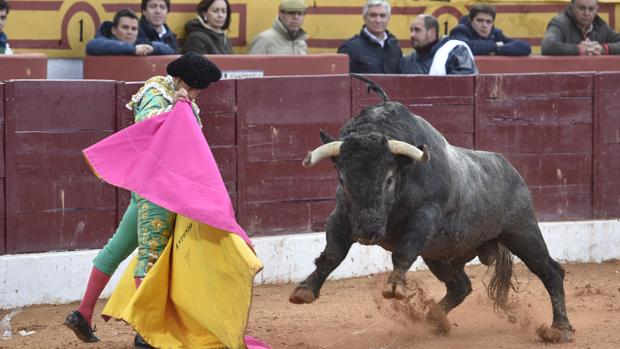 Ferrera, a fuego con un victorino de pedernal en Olivenza