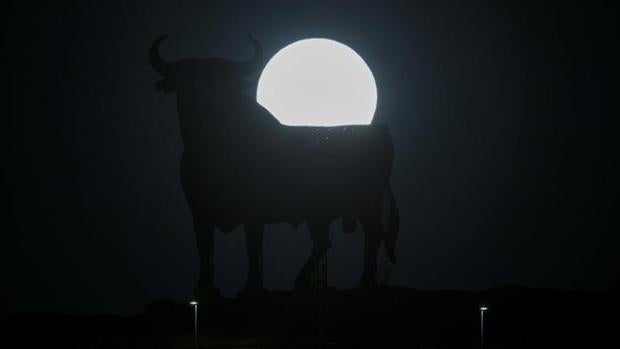 El Toro de Osborne cumple 60 años con cuatro mil kilos a cuestas