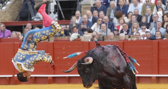 Manzanares sufrió una fuerte voltereta