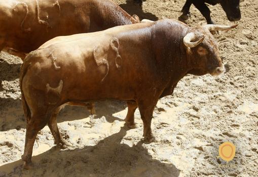 Feria de Abril de Sevilla 2018: Seis toros de Cuvillo para la novena de abono