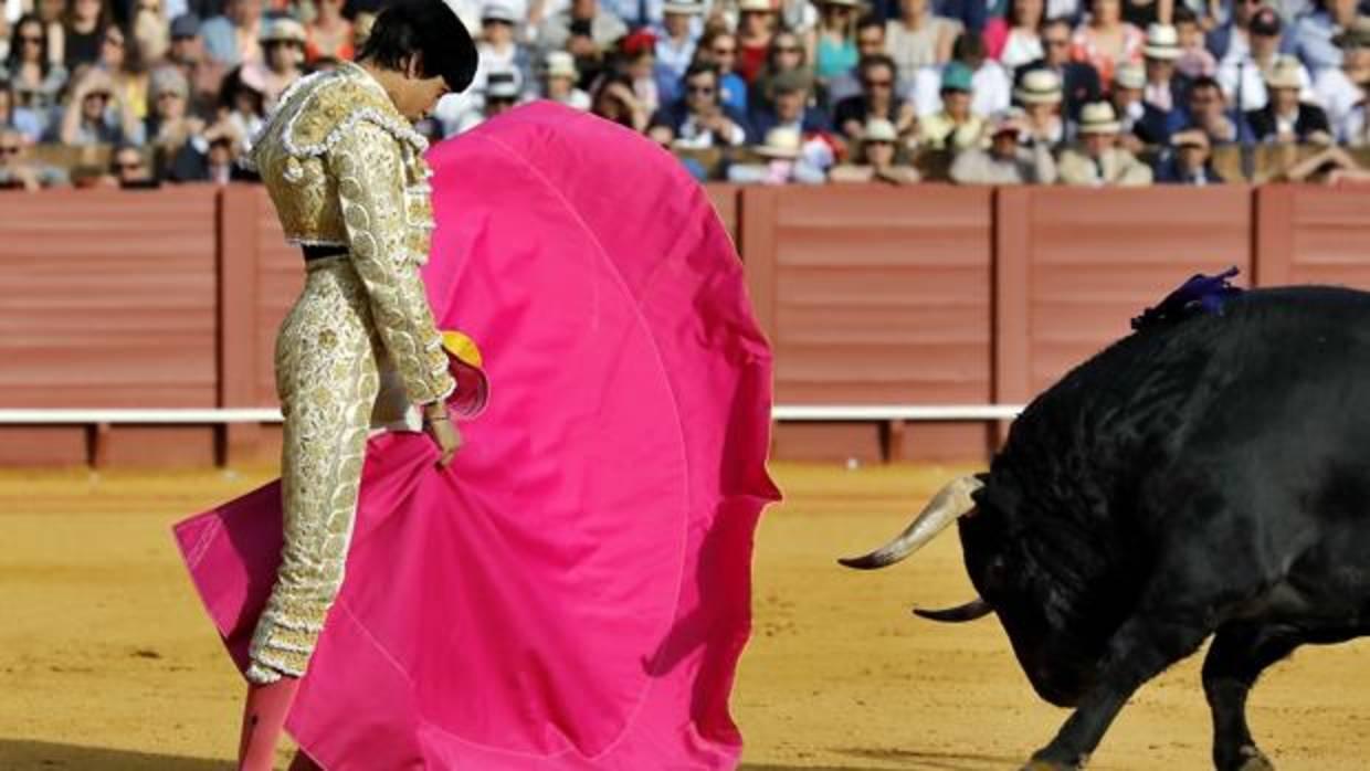 Roca Rey, en la Maestranza