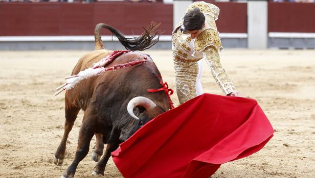 La emocionante apuesta de Miguel Ángel Pacheco con un encastado «Caudillo» en Las Ventas