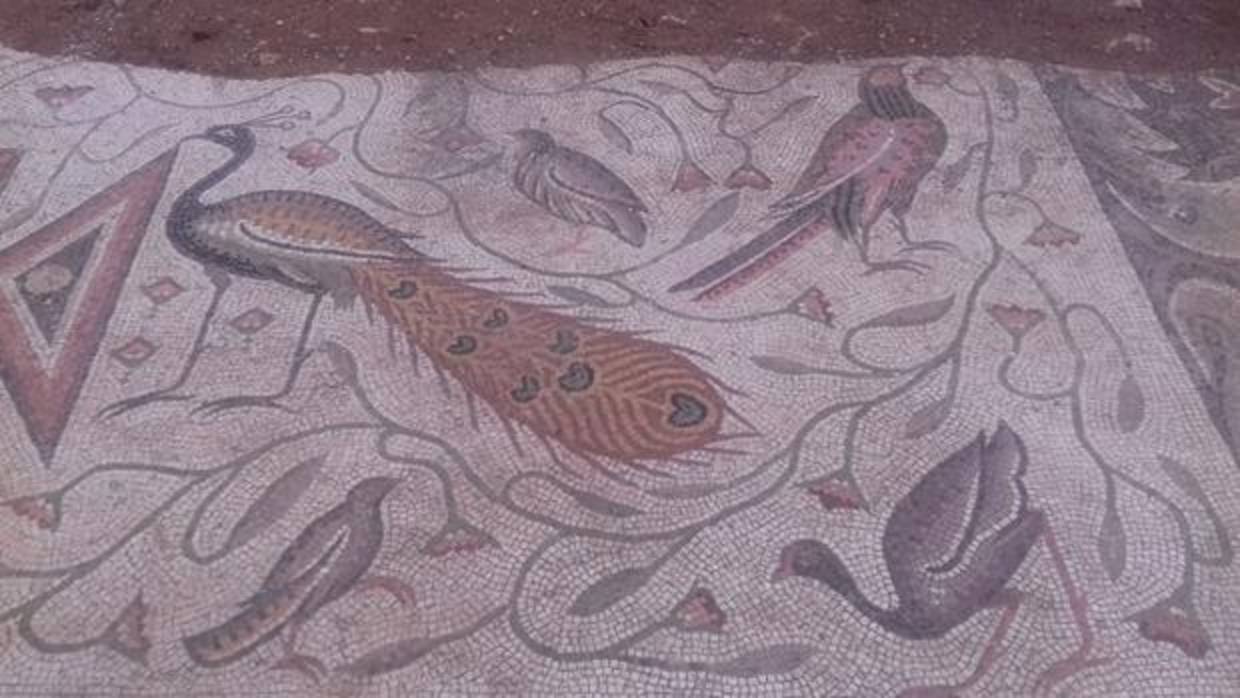 Parte del mosaico descubierto en Siria
