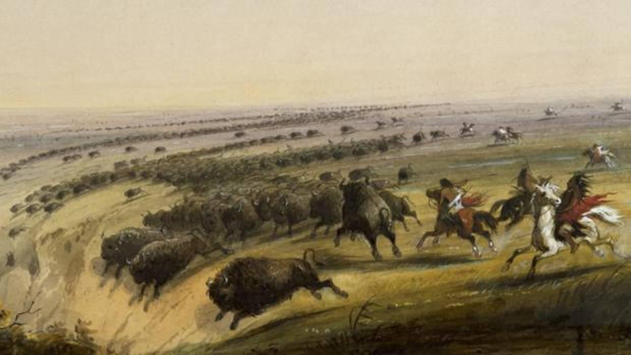 Cacería de bisontes, cuadro de Alfred Jacob Miller