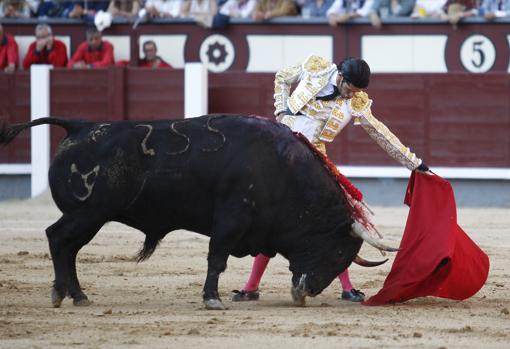 Alejandro Talavante, en un natural