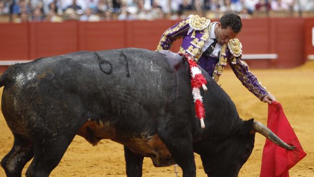 Rafaelillo triunfa con los miuras en Jaén