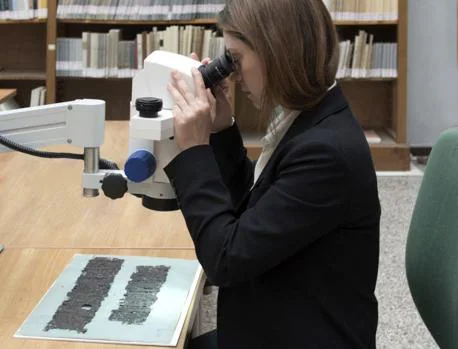 Encuentran el manuscrito perdido de Séneca el Viejo que sobrevivió al Vesubio