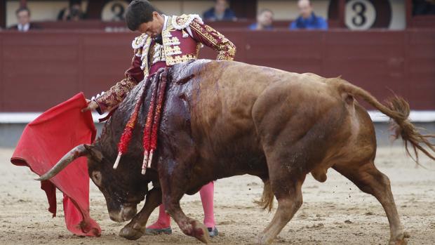 Las Ventas: con medio toro, toreo a medias