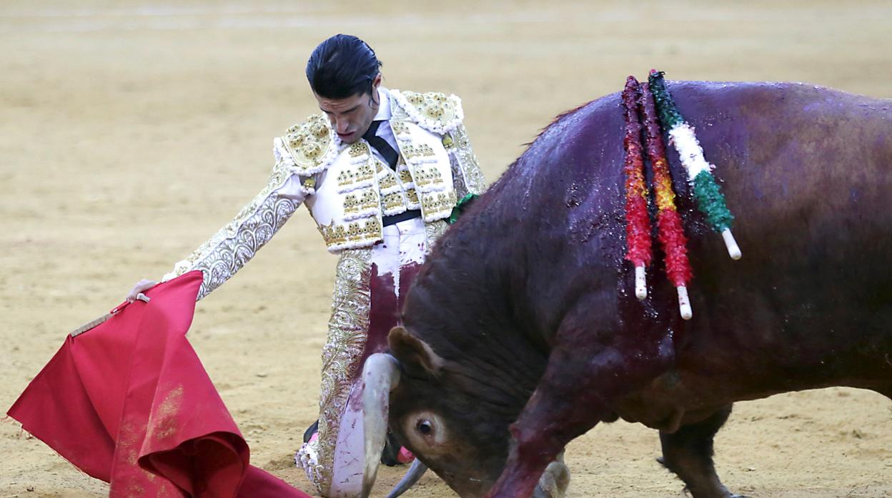 Alejandro Talavante, este sábado en Granada, donde cortó cuatro orejas