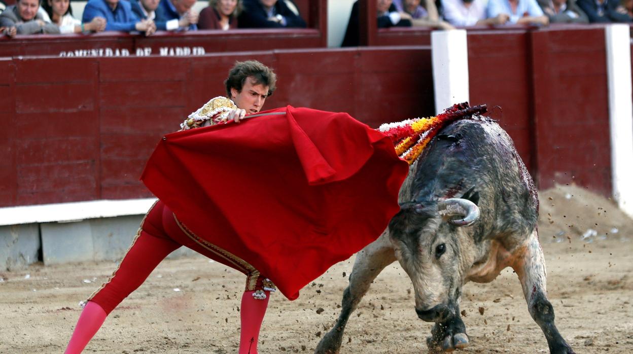 Román,con el tercer miura, el pasado domingo en San Isidro