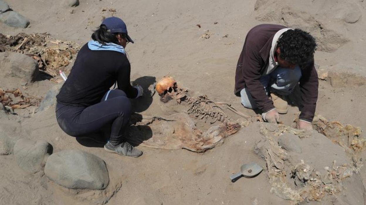 Arqueólogos trabajando en la excavación