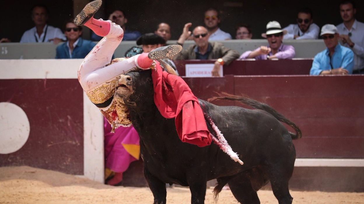 Luis David Adame, en el momento de la cornada