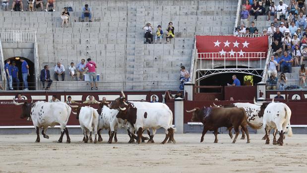 Las Ventas: la tarde del desastre ganadero total