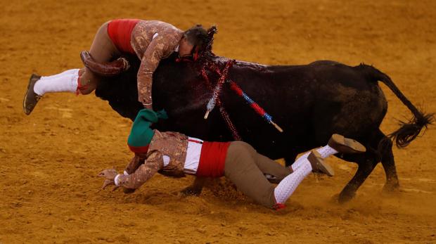 Portugal rechaza prohibir las corridas de toros